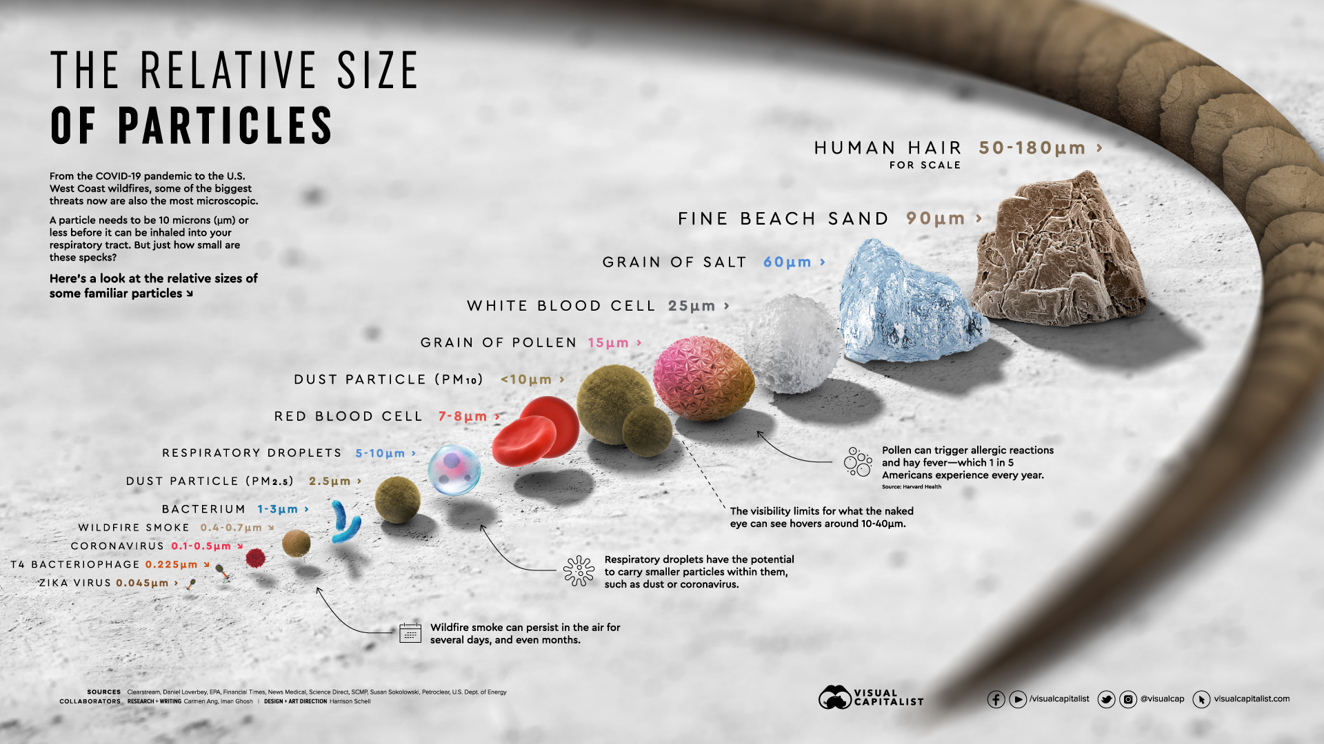 Picture comparing the size of different micron levels.